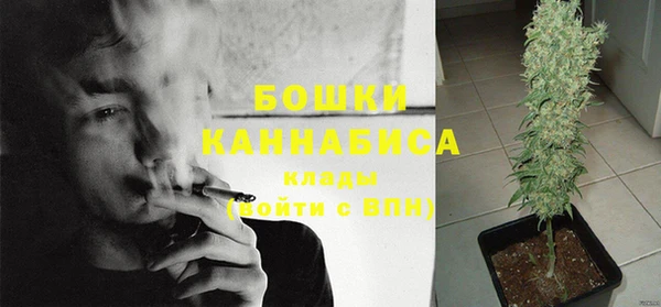 соль курить ск Новодвинск