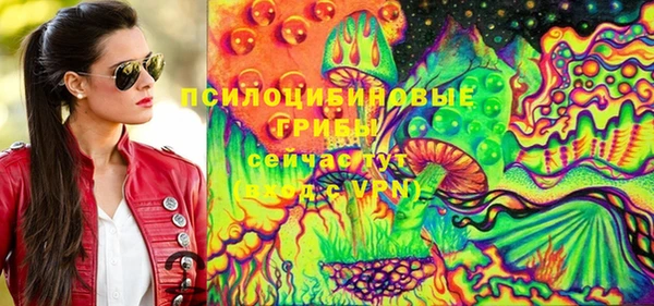 ГАЛЛЮЦИНОГЕННЫЕ ГРИБЫ Нязепетровск