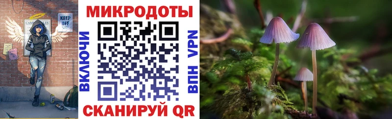 Псилоцибиновые грибы Cubensis  мега ТОР  Новомичуринск  дарнет шоп 