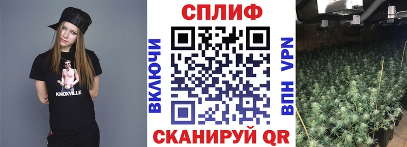 OMG зеркало  где найти наркотики  Новомичуринск  Бошки Шишки конопля 